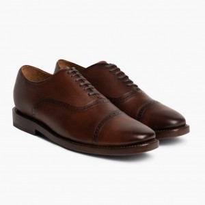 Thursday Boots Broadway Brogue Kappe Lederschuhe Herren Dunkelbraun | Österreich-94835GRCB