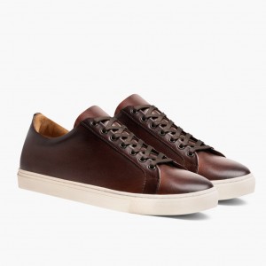 Thursday Boots Premier Low Top Sneakers Herren Dunkelbraun | Österreich-86350YOAM