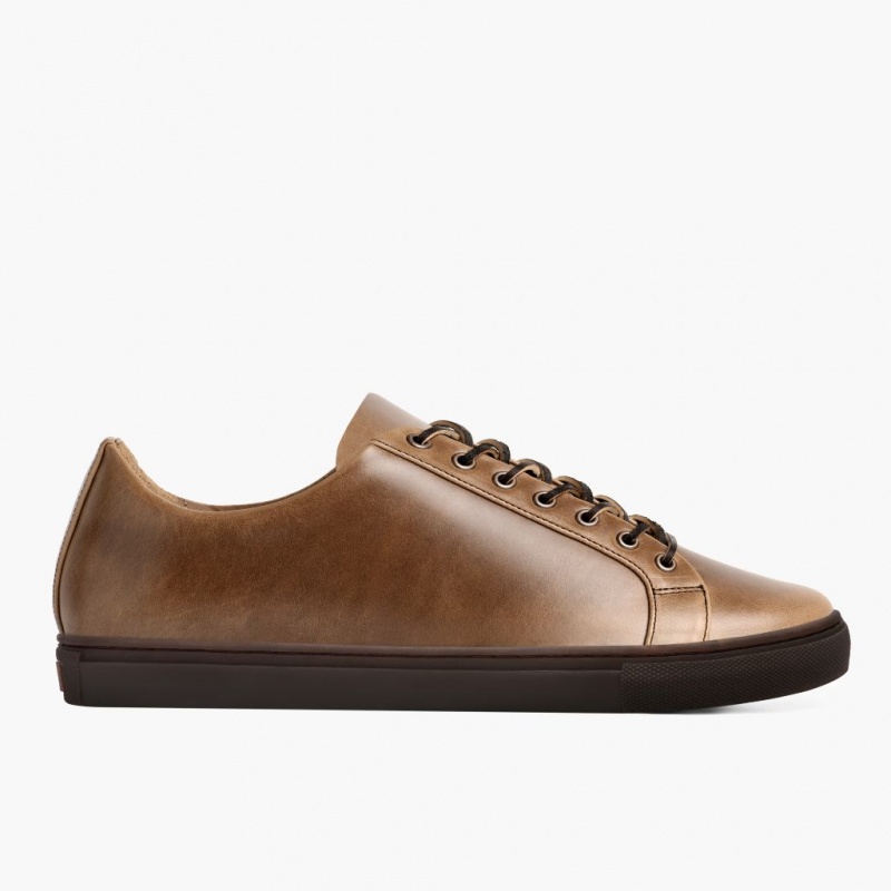 Thursday Boots Premier Low Top Sneakers Herren Dunkelbraun | Österreich-34682IHBC